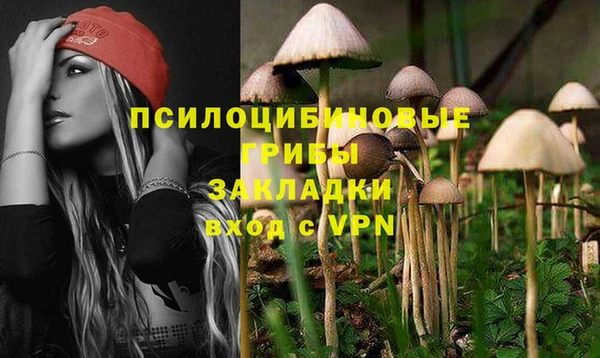 трава Няндома