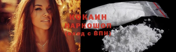 трава Няндома