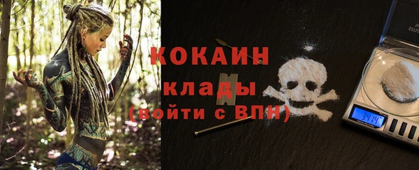 трава Няндома