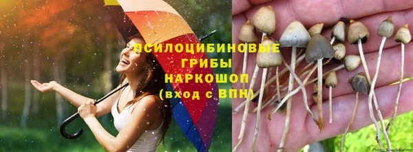 хмурый Остров