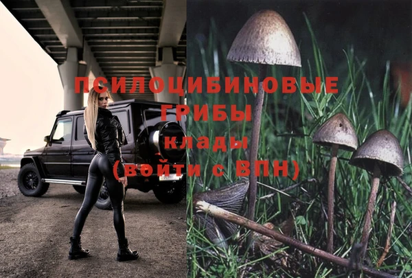 хмурый Остров