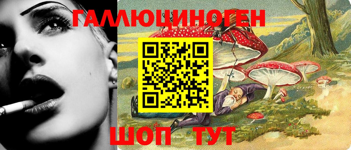 Галлюциногенные грибы Psilocybe Балабаново