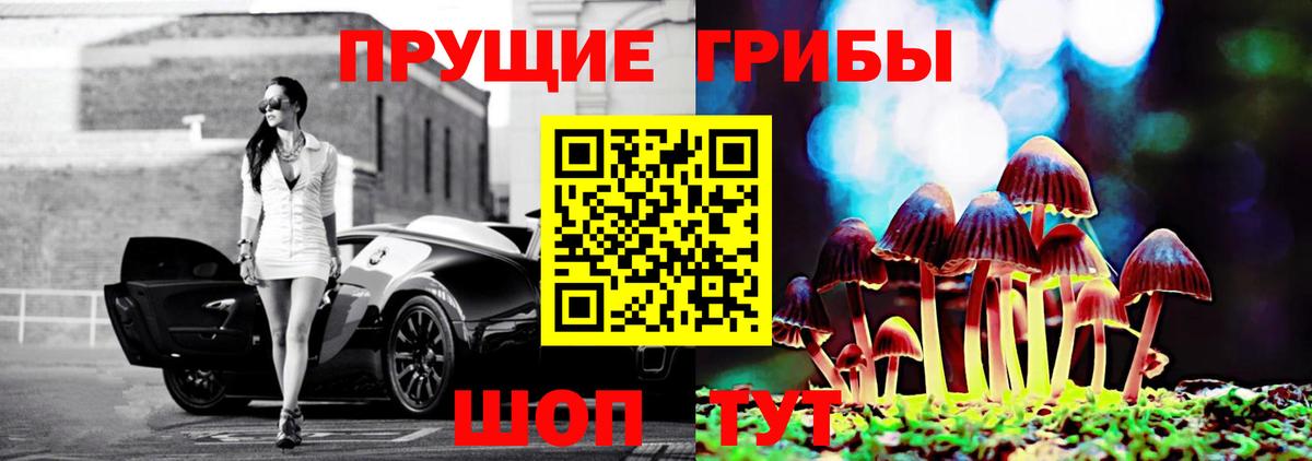 Галлюциногенные грибы Magic Shrooms  Балабаново  Псилоцибиновые грибы Psilocybe 