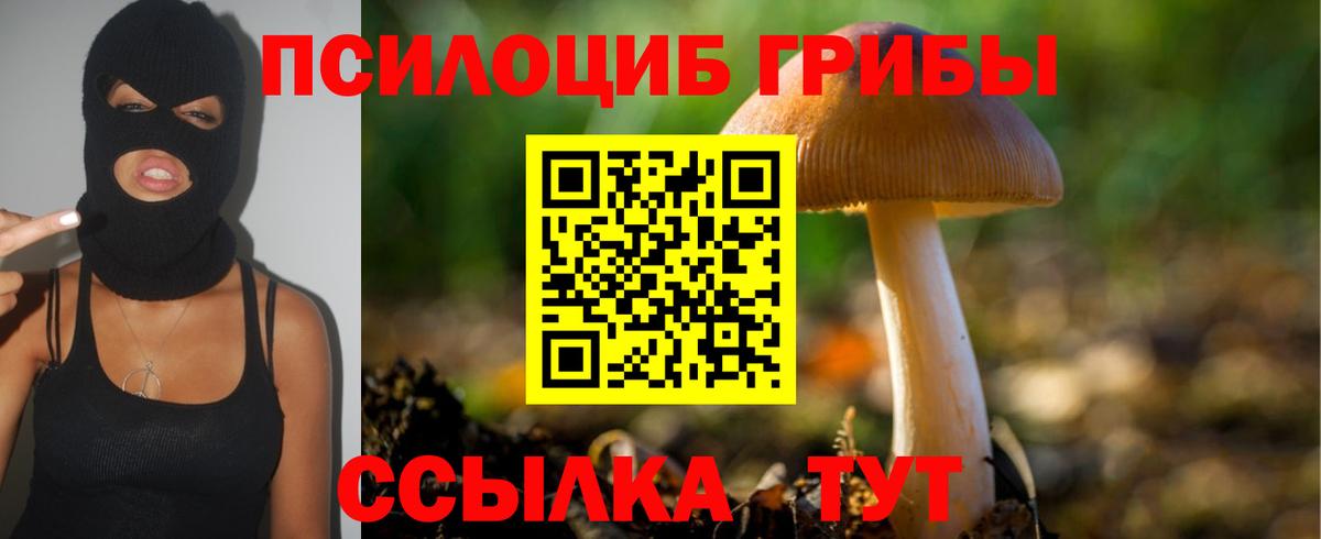 Галлюциногенные грибы прущие грибы Балабаново