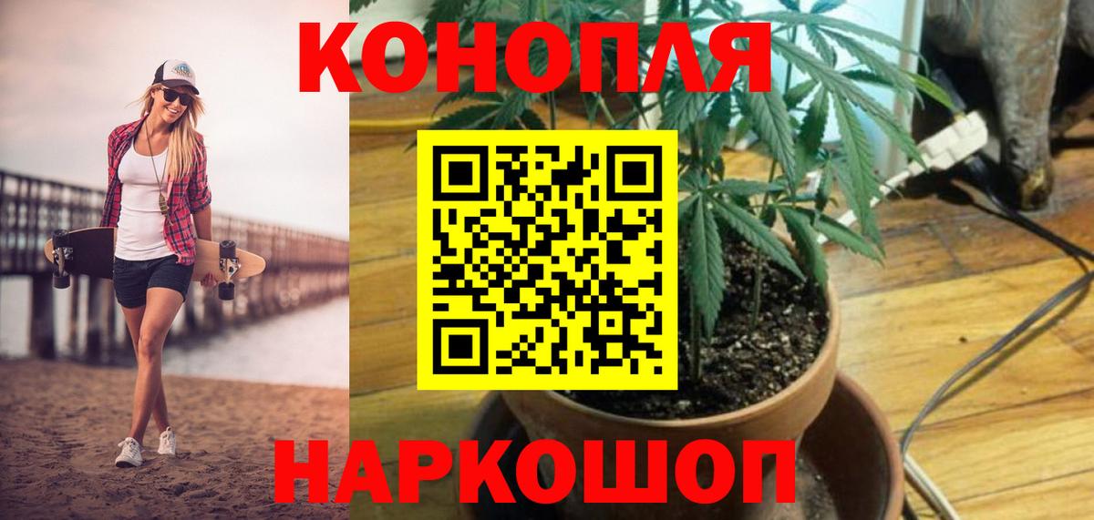 Конопля марихуана Балабаново