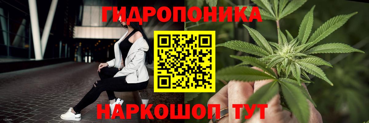 Конопля Amnesia  Марихуана Amnesia  Балабаново  Вход с VPN  Каннабис сатива 
